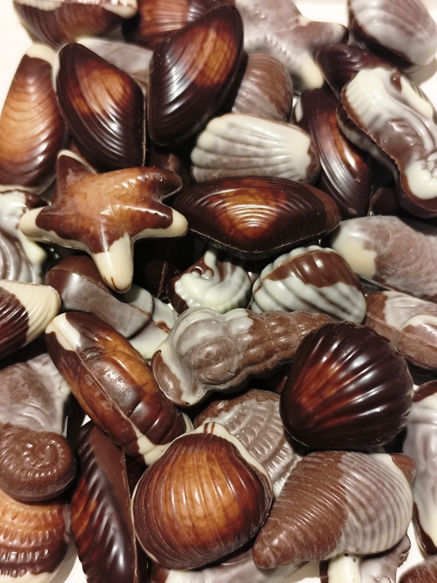 Chocolat Belge lot de 5