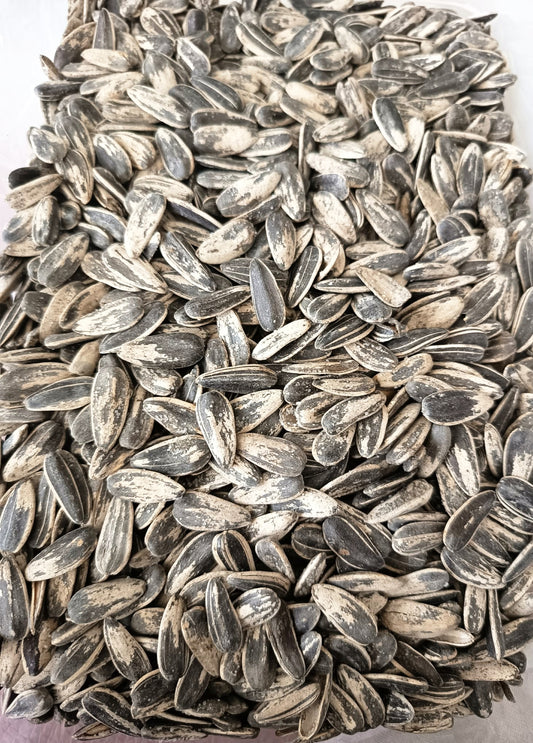 Pipas 100g
