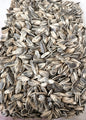 Pipas 100g