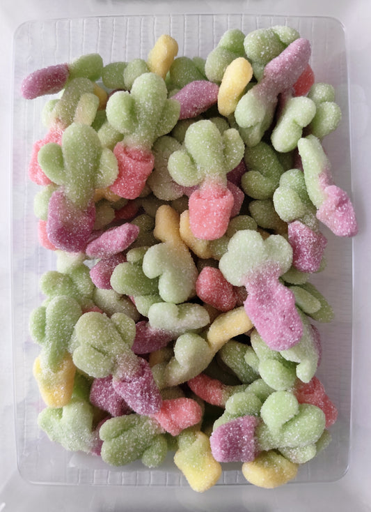 Bonbon Cactus 100g