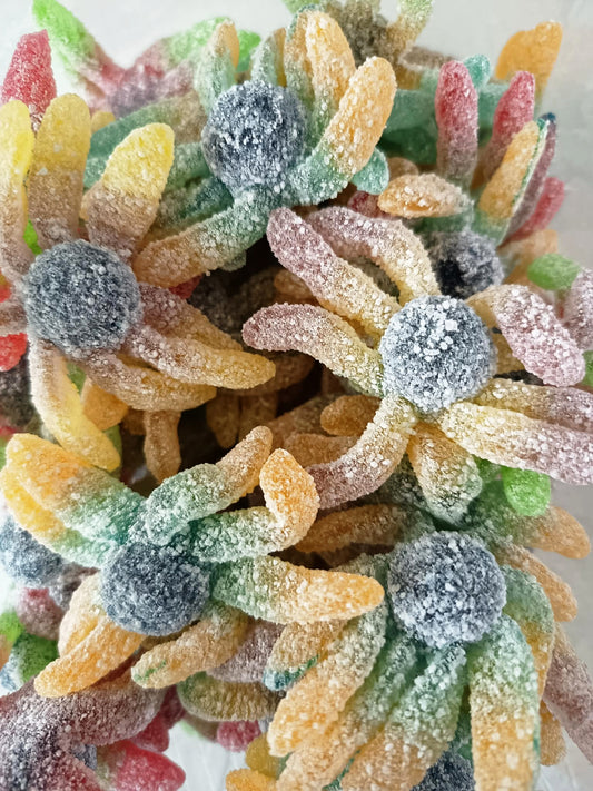 Bonbon Pieuvre Acidulée 100g